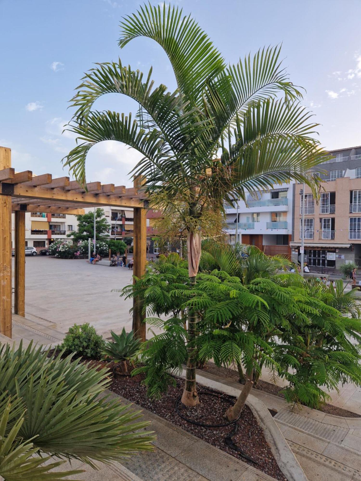 Studia Puerto De Santiago Apartman Puerto de Santiago  Kültér fotó